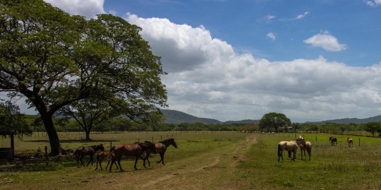 Rancho Humo Estancia Puerto Humo  Eksteriør billede