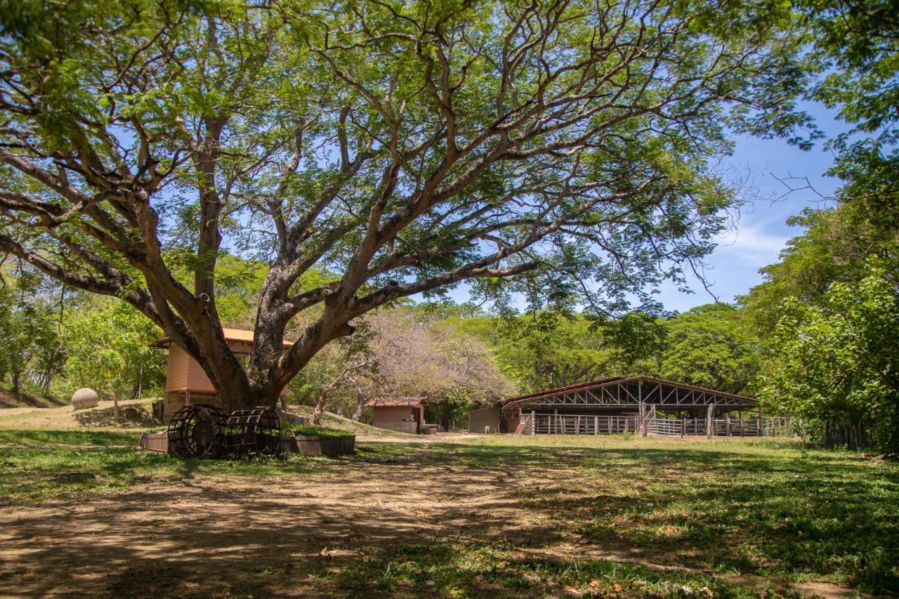 Rancho Humo Estancia Puerto Humo  Eksteriør billede